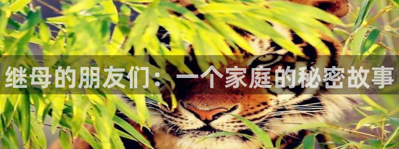 韩漫免费看无遮挡：继母的朋友们：一个家庭的秘密故事