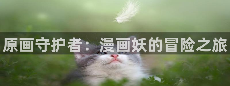 韩漫免费在线观看无删减