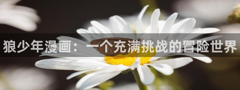 韩漫漫画app