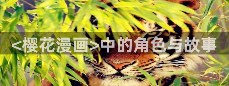 漫画韩漫免费app：<樱花漫画>中的角色与故事