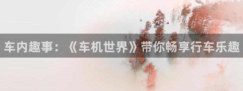 韩韩漫画入口：车内趣事：《车机世界》带你畅享行车乐趣